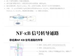 lubuntu线路检测3;lubuntu 线路检测 3：确保顺畅连接的关键步骤