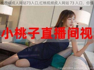 红桃视频成人网站73入口,红桃视频成人网站 73 入口，你懂得