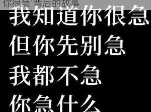 你先别急，我理解你的焦虑——探究‘你很急’背后的故事