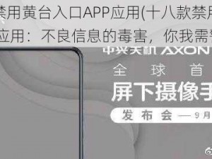 十八款禁用黄台入口APP应用(十八款禁用黄台入口 APP 应用：不良信息的毒害，你我需警惕)