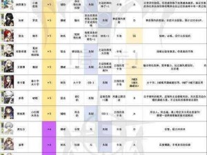 白夜极光：优化光灵攻击策略，提升连锁技能伤害实效研究