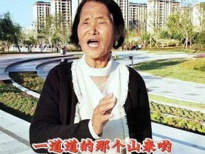 燕姐放羊老人户外W358、燕姐放羊老人户外 W358：草原上的孤独与坚韧