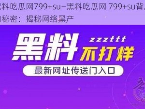 黑料吃瓜网799+su—黑料吃瓜网 799+su背后的秘密：揭秘网络黑产