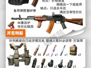 暗区突围高性价比武器配装指南：实用装备推荐与分享