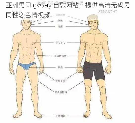 亚洲男同 gvGay 自慰网站，提供高清无码男同性恋色情视频