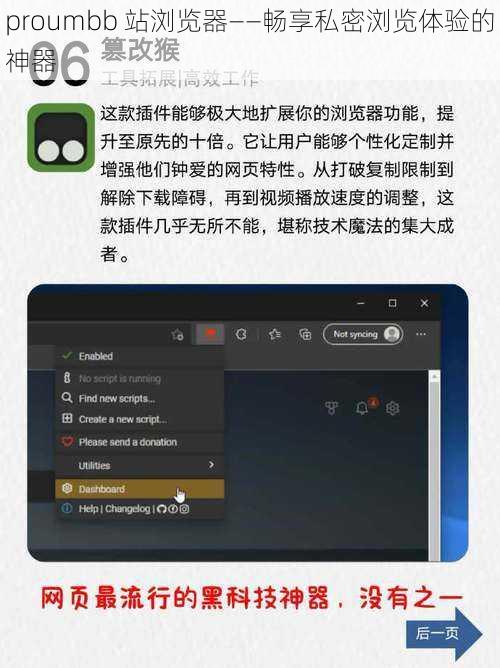 proumbb 站浏览器——畅享私密浏览体验的神器