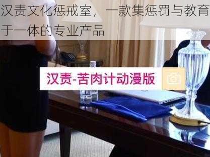 汉责文化惩戒室，一款集惩罚与教育于一体的专业产品