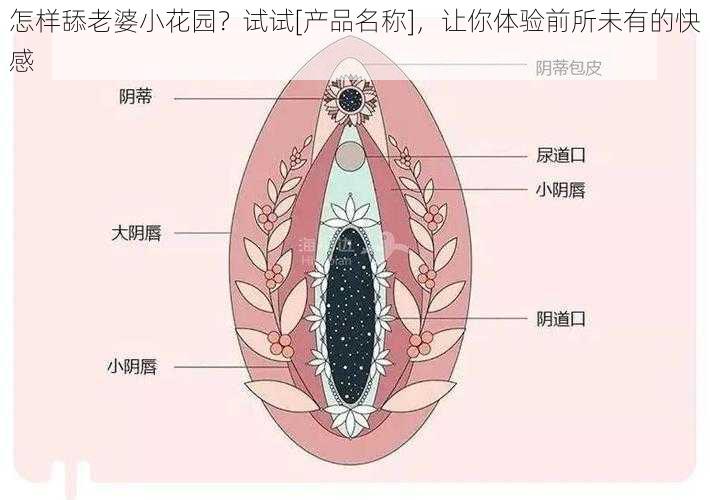 怎样舔老婆小花园？试试[产品名称]，让你体验前所未有的快感