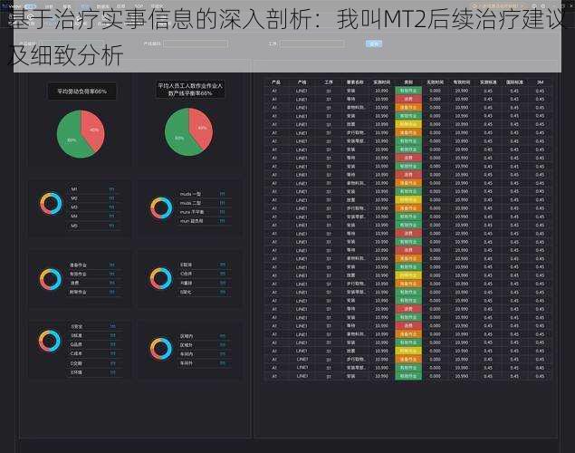 基于治疗实事信息的深入剖析：我叫MT2后续治疗建议及细致分析