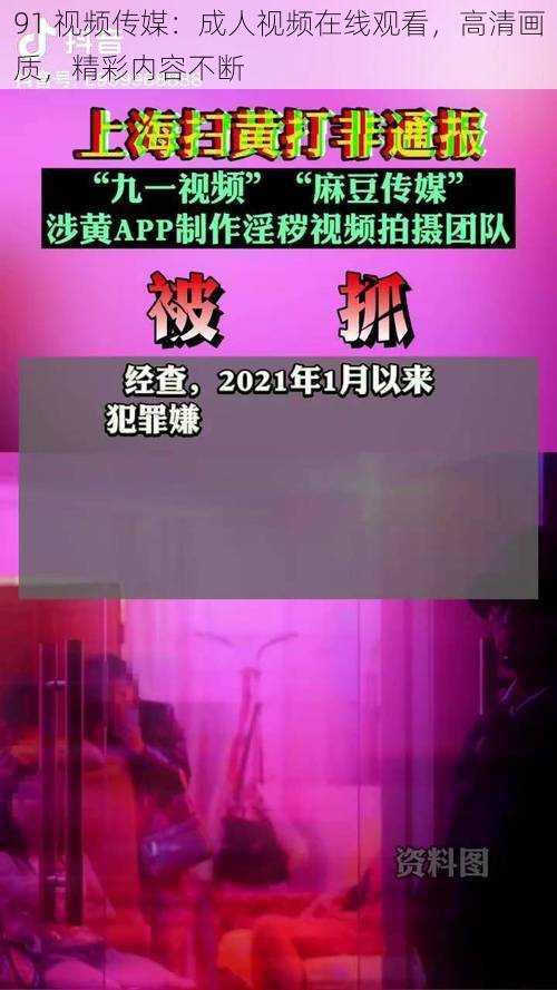 91 视频传媒：成人视频在线观看，高清画质，精彩内容不断