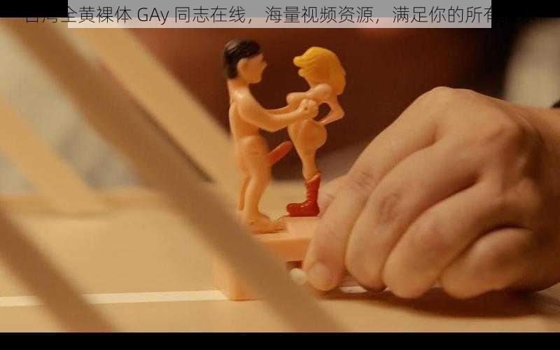 台湾全黄裸体 GAy 同志在线，海量视频资源，满足你的所有需求