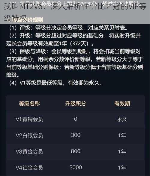 我叫MT2V6：深入解析性价比之冠的VIP等级特权