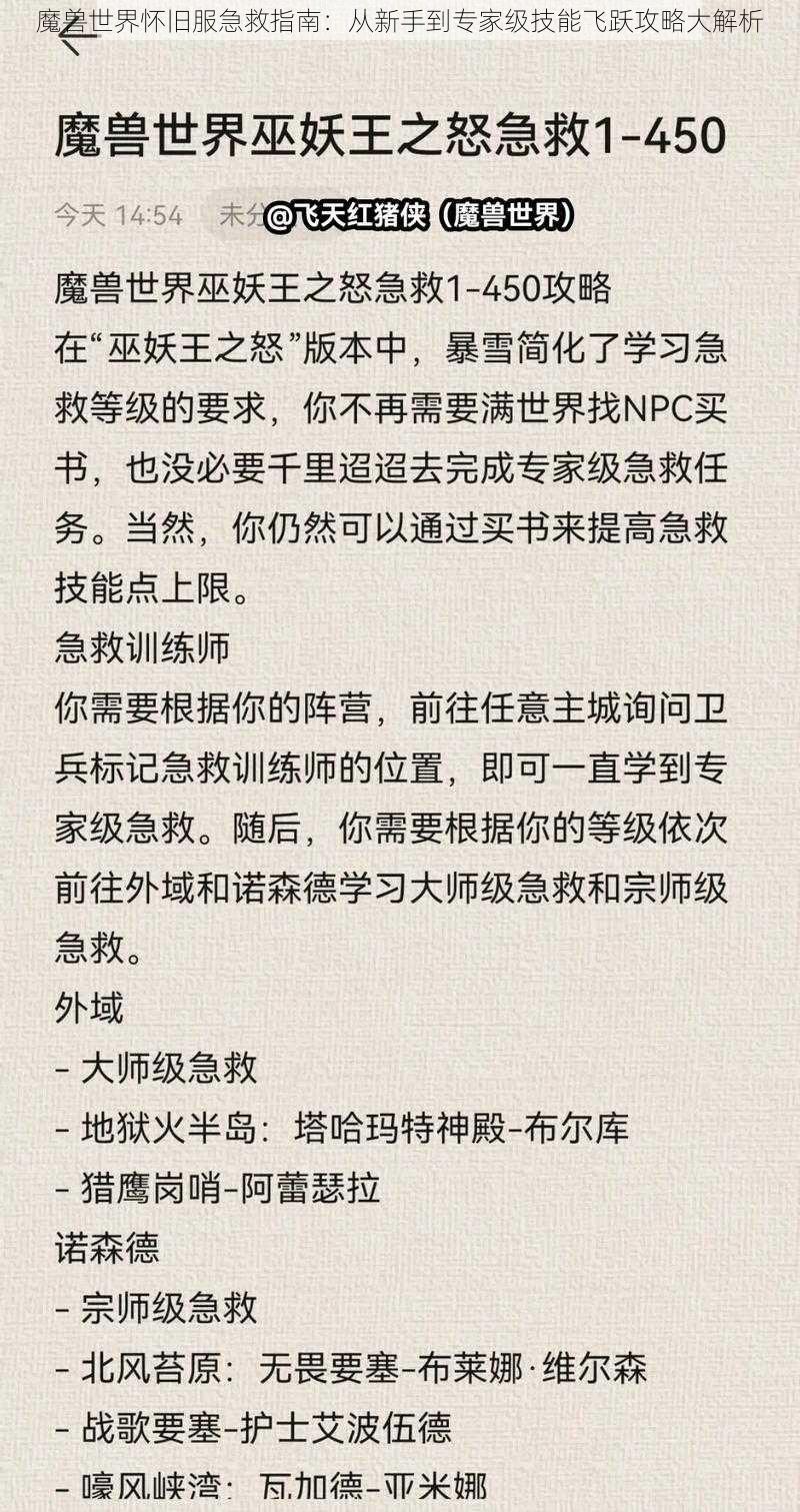 魔兽世界怀旧服急救指南：从新手到专家级技能飞跃攻略大解析