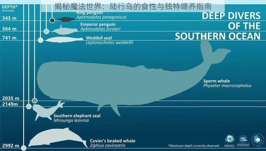 揭秘魔法世界：陆行鸟的食性与独特喂养指南