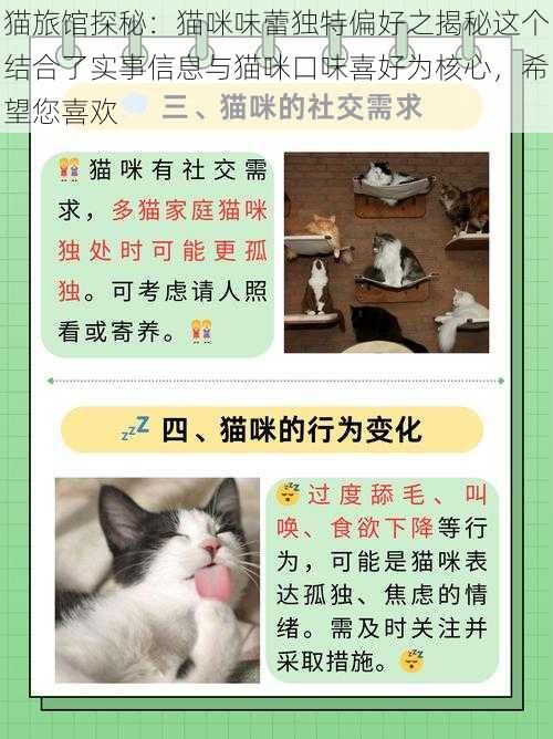 猫旅馆探秘：猫咪味蕾独特偏好之揭秘这个结合了实事信息与猫咪口味喜好为核心，希望您喜欢