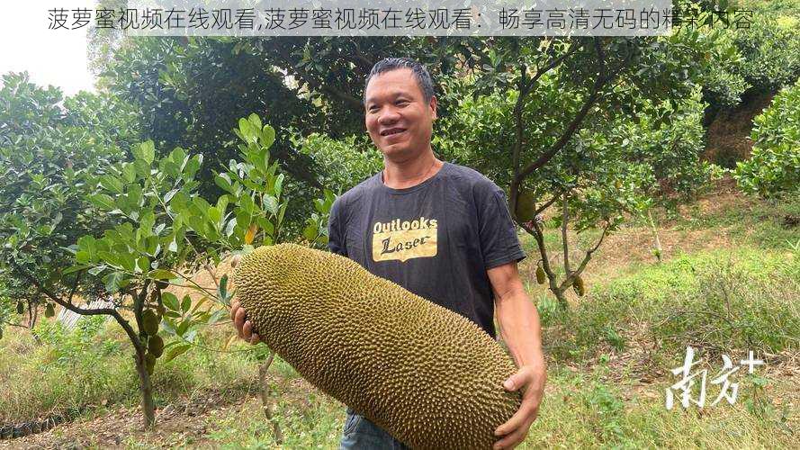 菠萝蜜视频在线观看,菠萝蜜视频在线观看：畅享高清无码的精彩内容