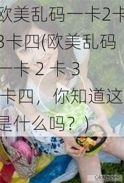 欧美乱码一卡2卡3卡四(欧美乱码一卡 2 卡 3 卡四，你知道这是什么吗？)