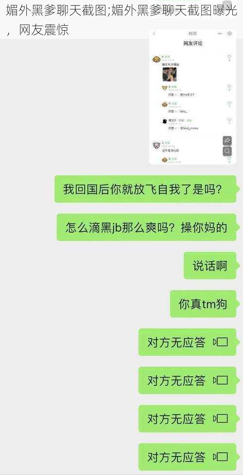 媚外黑爹聊天截图;媚外黑爹聊天截图曝光，网友震惊