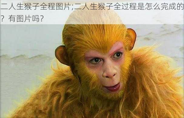 二人生猴子全程图片;二人生猴子全过程是怎么完成的？有图片吗？