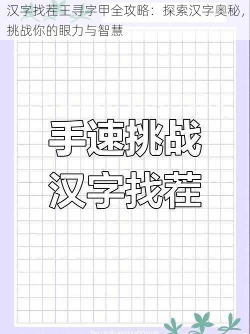 汉字找茬王寻字甲全攻略：探索汉字奥秘，挑战你的眼力与智慧