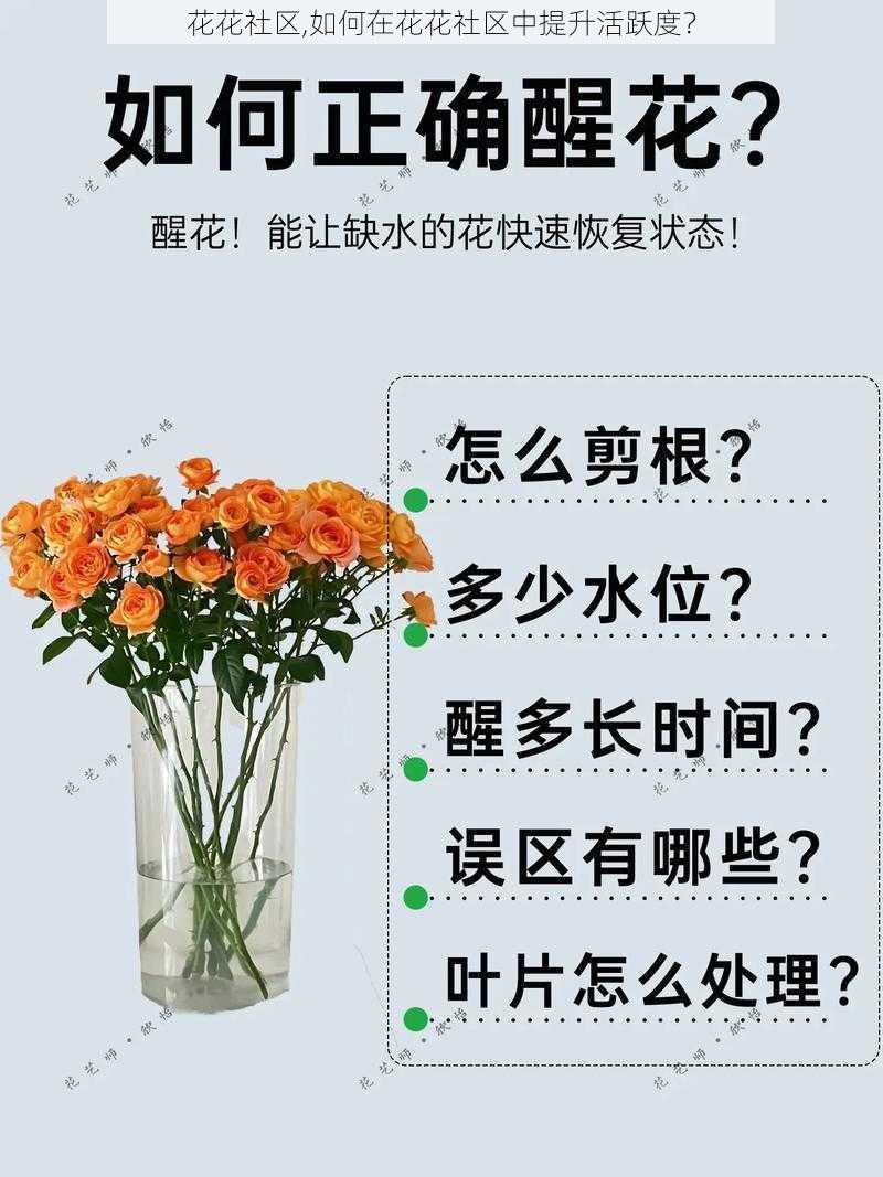 花花社区,如何在花花社区中提升活跃度？