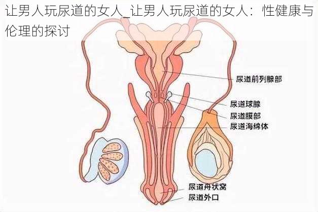 让男人玩尿道的女人_让男人玩尿道的女人：性健康与伦理的探讨