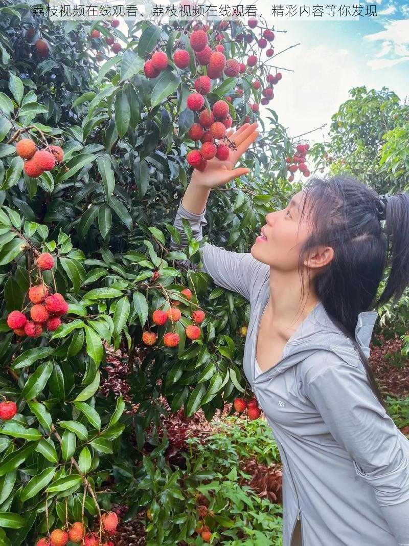 荔枝视频在线观看、荔枝视频在线观看，精彩内容等你发现