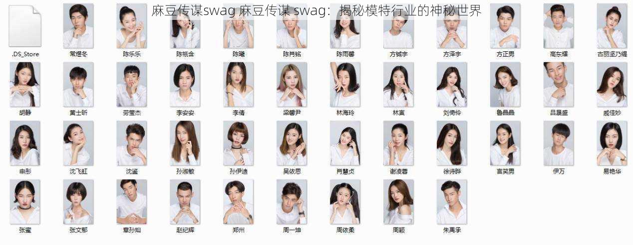 麻豆传谋swag 麻豆传谋 swag：揭秘模特行业的神秘世界