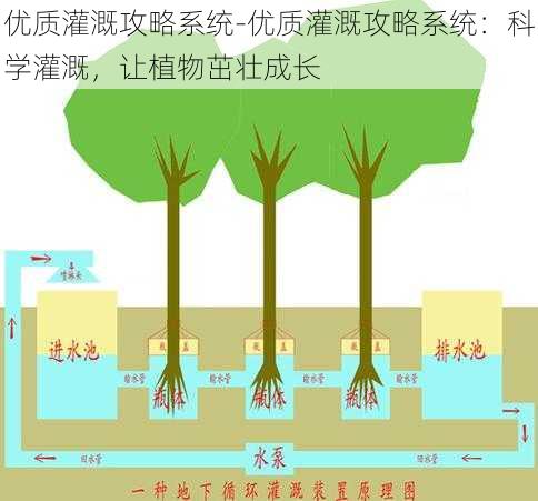 优质灌溉攻略系统-优质灌溉攻略系统：科学灌溉，让植物茁壮成长