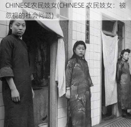 CHINESE农民妓女(CHINESE 农民妓女：被忽视的社会问题)