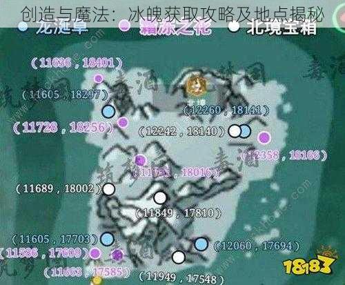 创造与魔法：冰魄获取攻略及地点揭秘