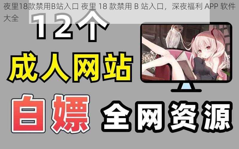 夜里18款禁用B站入口 夜里 18 款禁用 B 站入口，深夜福利 APP 软件大全