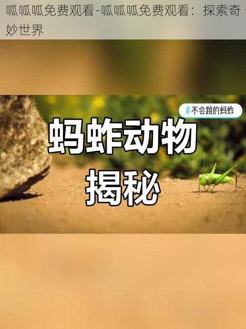 呱呱呱免费观看-呱呱呱免费观看：探索奇妙世界