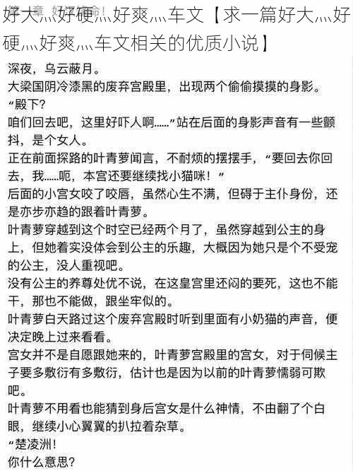 好大灬好硬灬好爽灬车文【求一篇好大灬好硬灬好爽灬车文相关的优质小说】