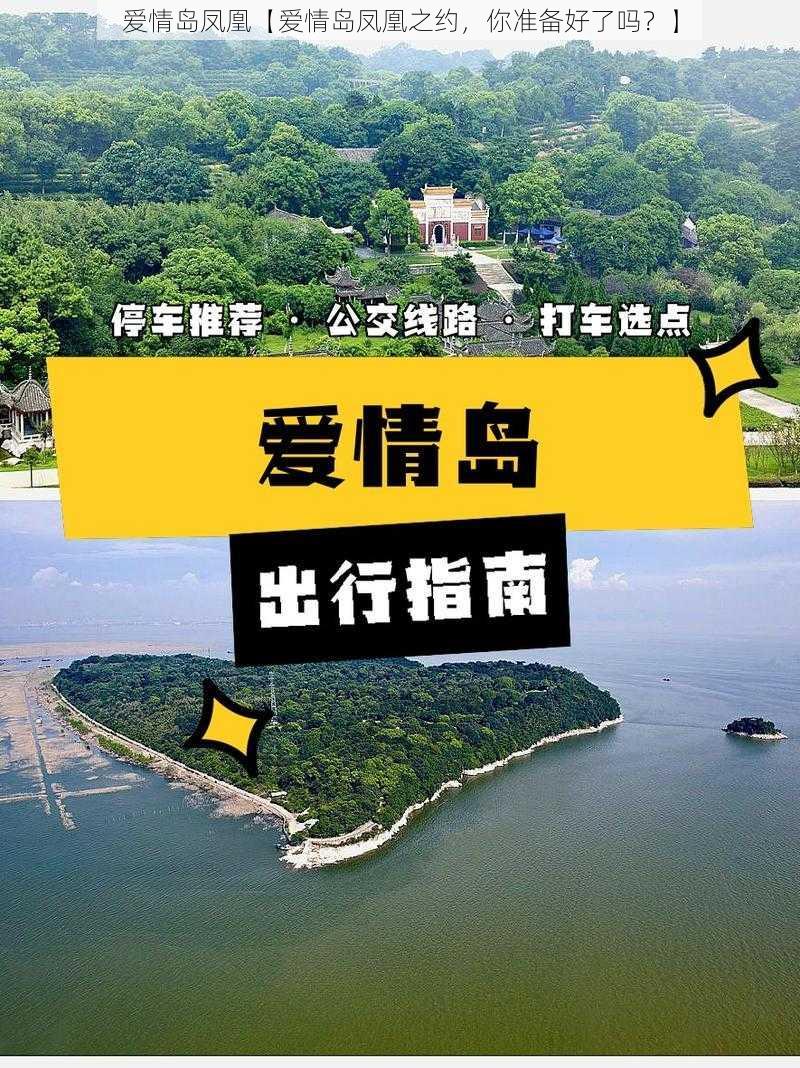 爱情岛凤凰【爱情岛凤凰之约，你准备好了吗？】