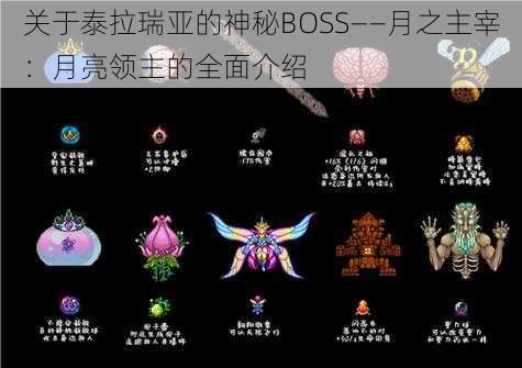 关于泰拉瑞亚的神秘BOSS——月之主宰：月亮领主的全面介绍