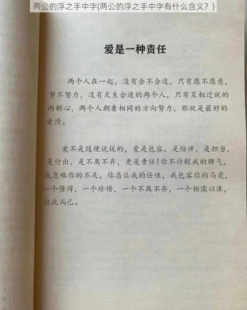 两公的浮之手中字(两公的浮之手中字有什么含义？)