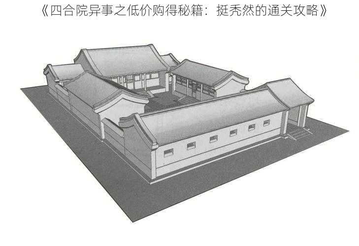 《四合院异事之低价购得秘籍：挺秃然的通关攻略》