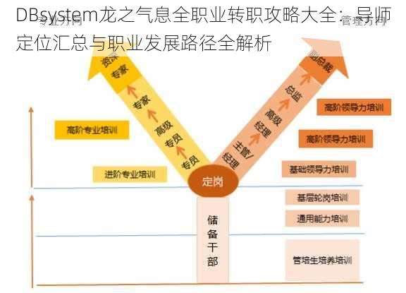 DBsystem龙之气息全职业转职攻略大全：导师定位汇总与职业发展路径全解析