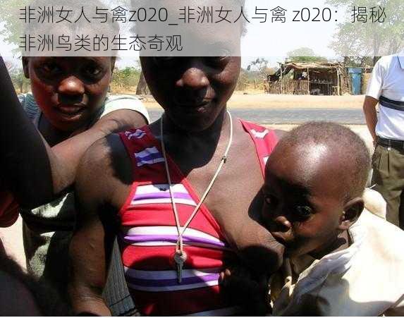 非洲女人与禽z020_非洲女人与禽 z020：揭秘非洲鸟类的生态奇观