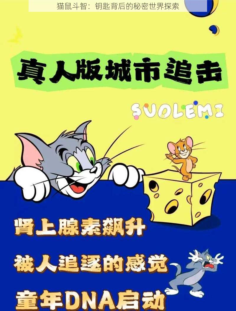 猫鼠斗智：钥匙背后的秘密世界探索