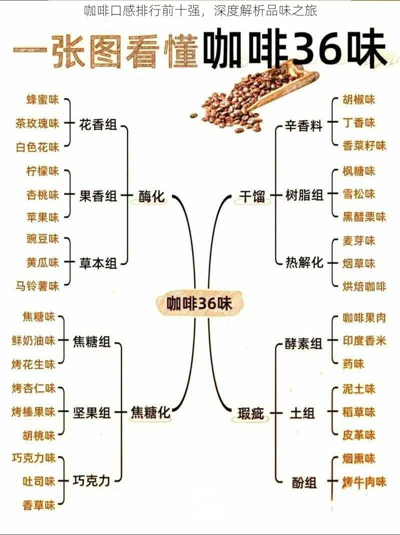 咖啡口感排行前十强，深度解析品味之旅