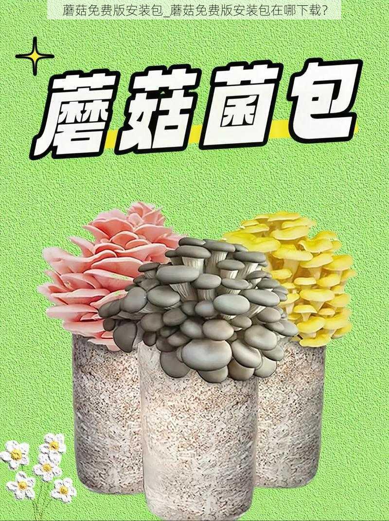 蘑菇免费版安装包_蘑菇免费版安装包在哪下载？