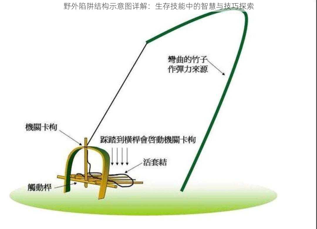 野外陷阱结构示意图详解：生存技能中的智慧与技巧探索