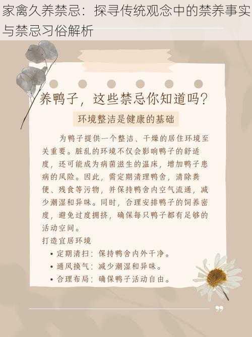 家禽久养禁忌：探寻传统观念中的禁养事实与禁忌习俗解析