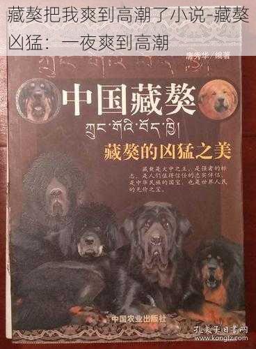 藏獒把我爽到高潮了小说-藏獒凶猛：一夜爽到高潮