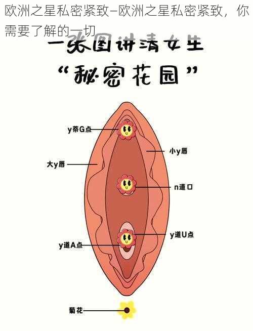 欧洲之星私密紧致—欧洲之星私密紧致，你需要了解的一切