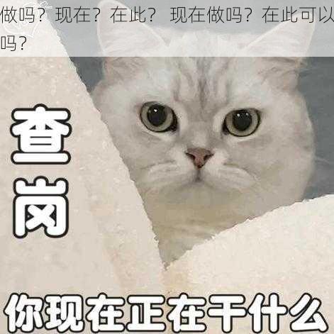 做吗？现在？在此？ 现在做吗？在此可以吗？