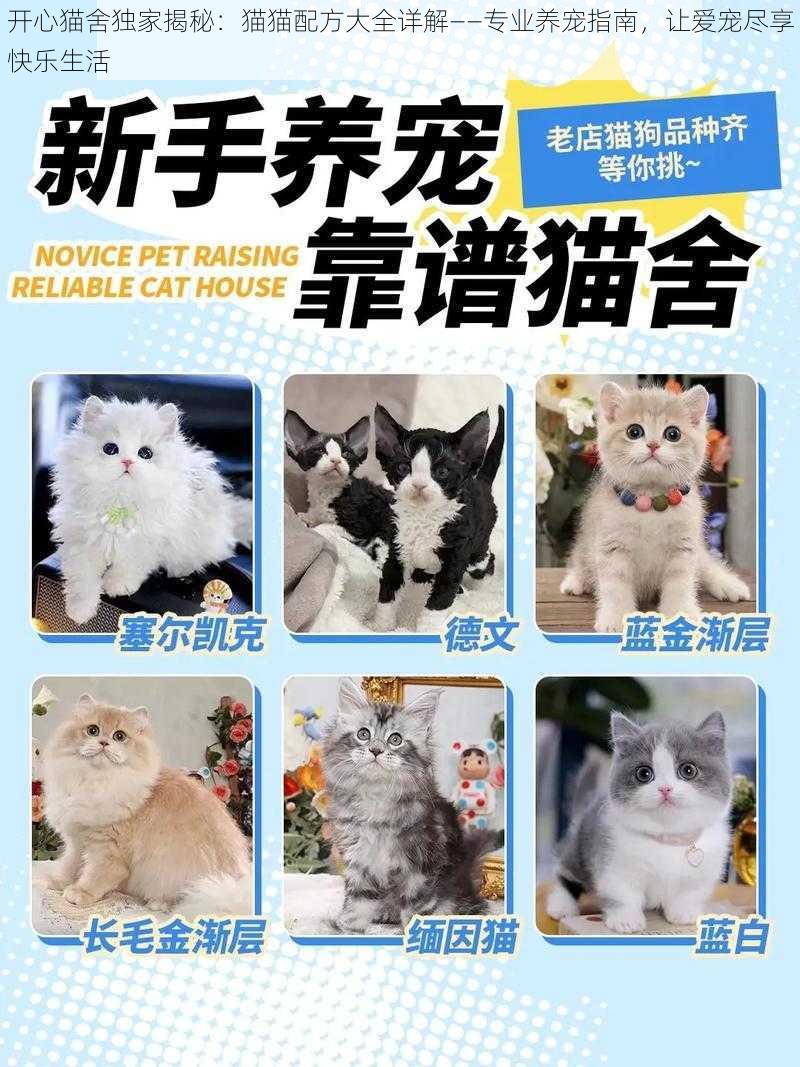 开心猫舍独家揭秘：猫猫配方大全详解——专业养宠指南，让爱宠尽享快乐生活