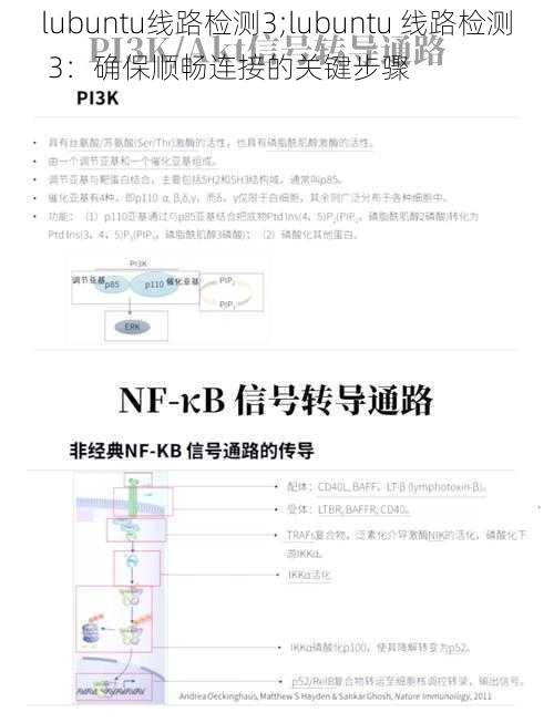 lubuntu线路检测3;lubuntu 线路检测 3：确保顺畅连接的关键步骤